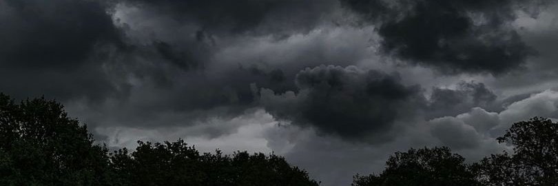 treyy banner