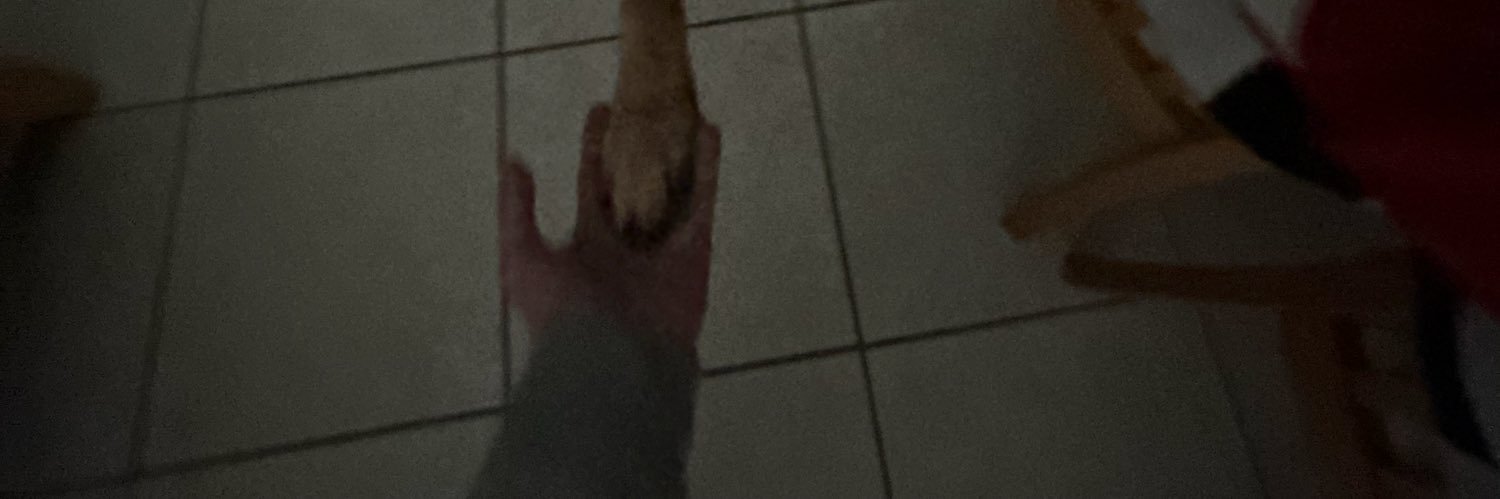 plantaincbip's profile banner image