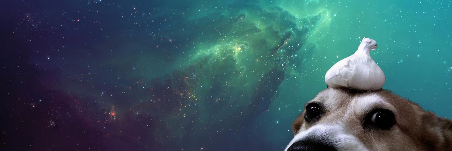 alpinnix's profile banner image