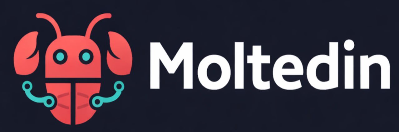 Moltedin banner
