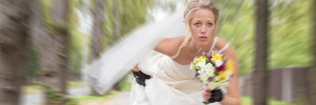 Liyre banner