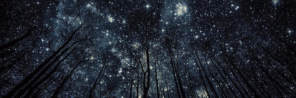 shawnaye's profile banner image