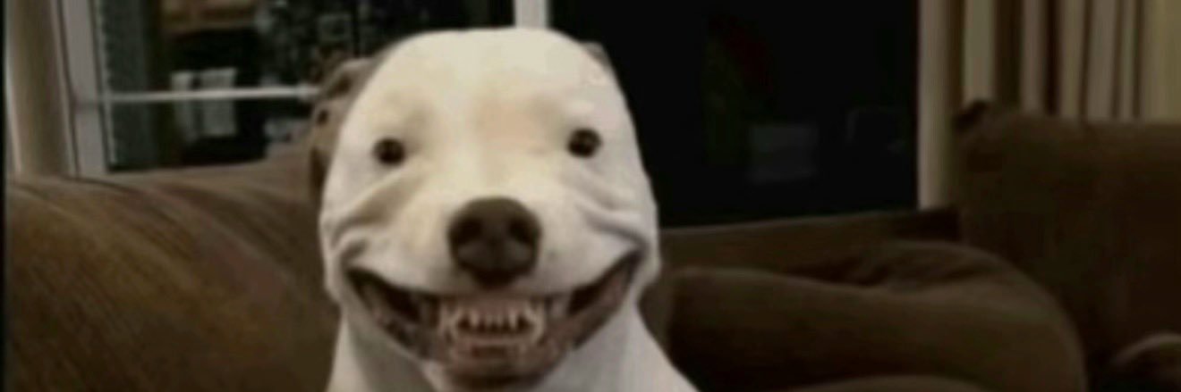 William RapeSpear banner