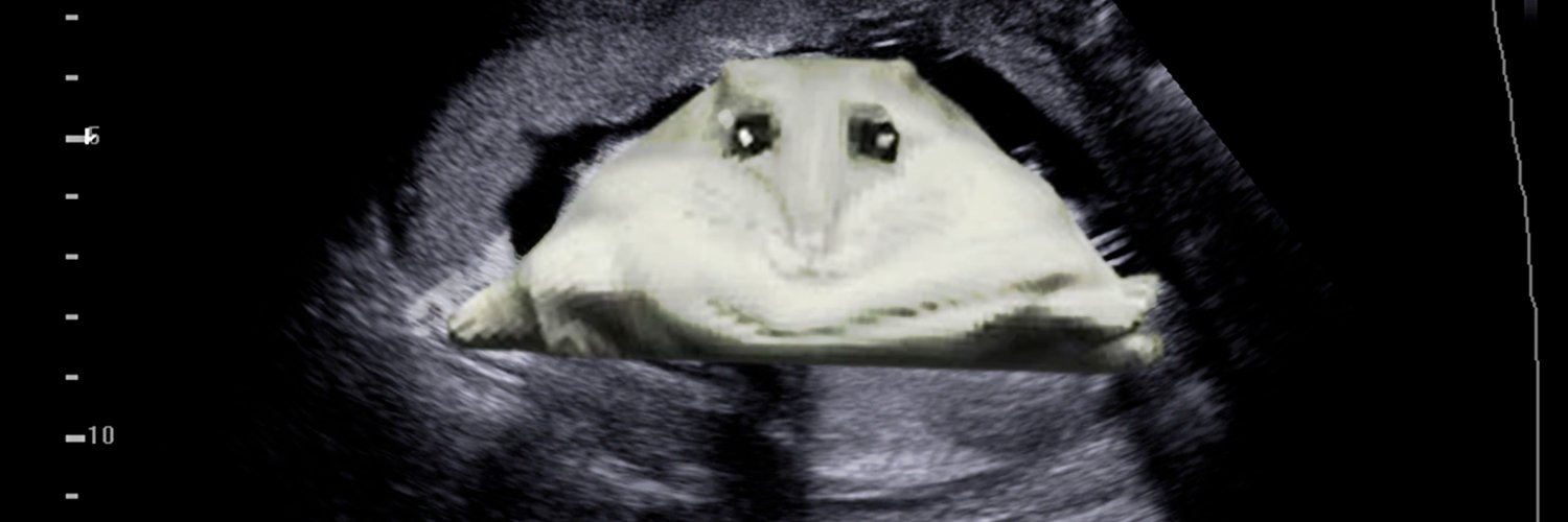 Claire Redfield banner