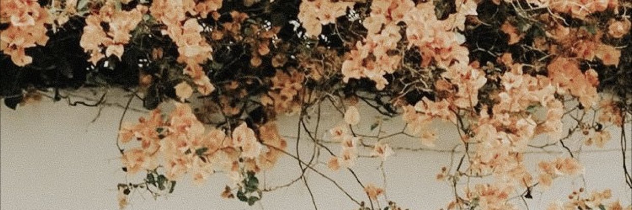 faithepatrickk's profile banner image