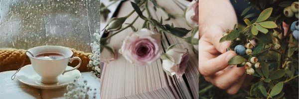 THE_TON_ Profile Banner