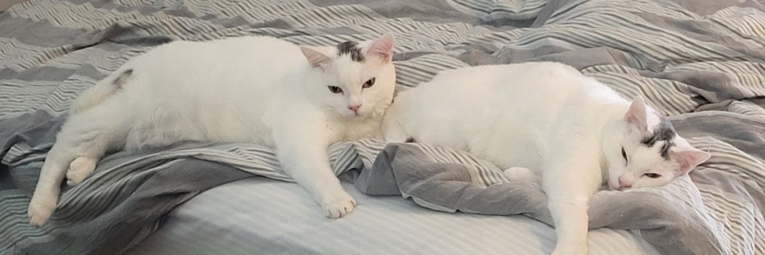 Griffin Cooper banner