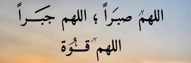 🦋 أريج Areej 🦋 banner