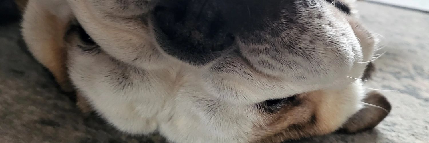 phillgriffiths's profile banner image
