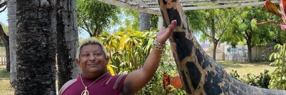 acervo patixa banner