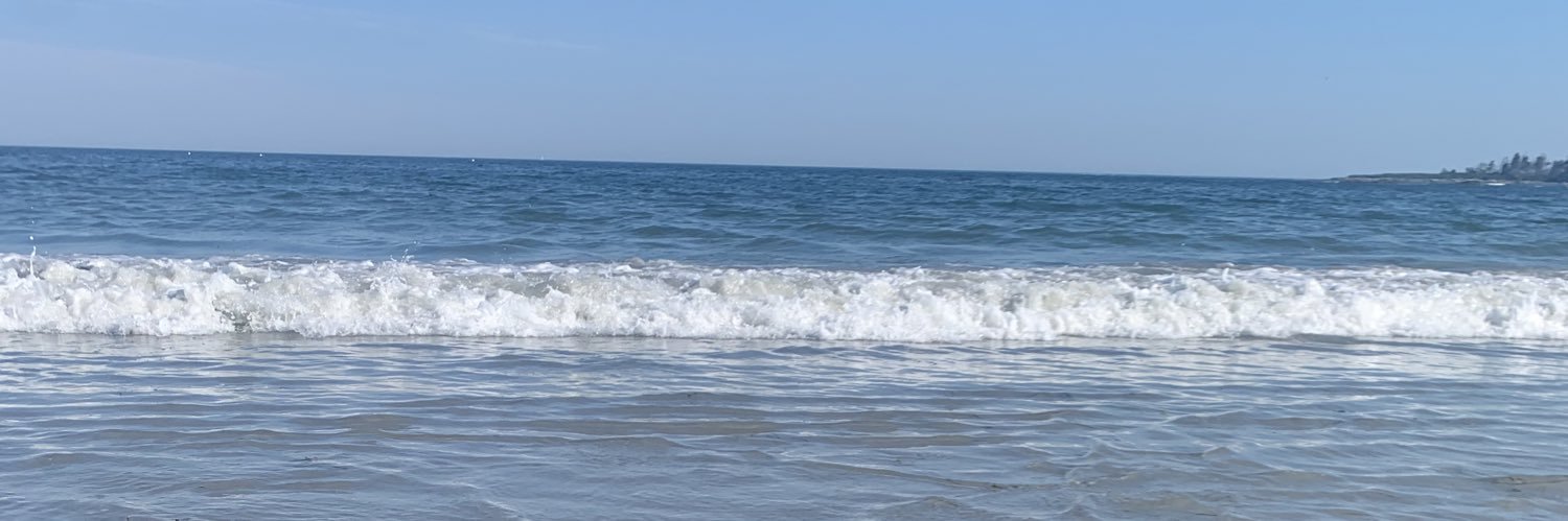 Hiplainsdrifter banner