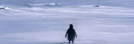 Penguin_Chidiya's profile banner image