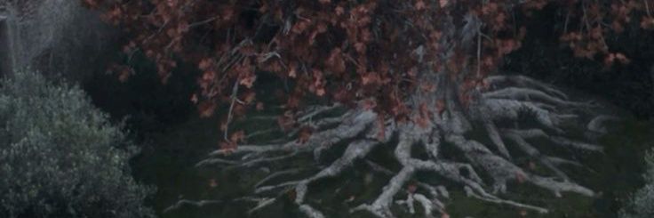 SECXNDHEAVEN's profile banner image