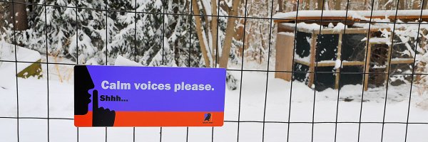 david6of7 Profile Banner