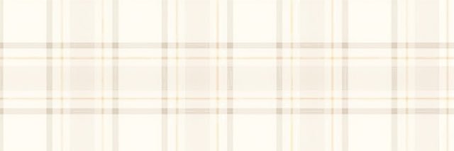 𐙚³³³ banner