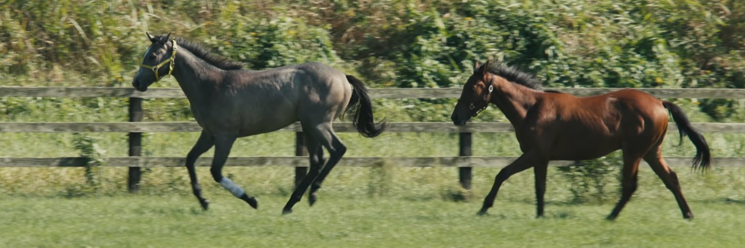 日高の競走馬生産牧場「フジモトバイアリースタッド」＠クラファン挑戦中 banner