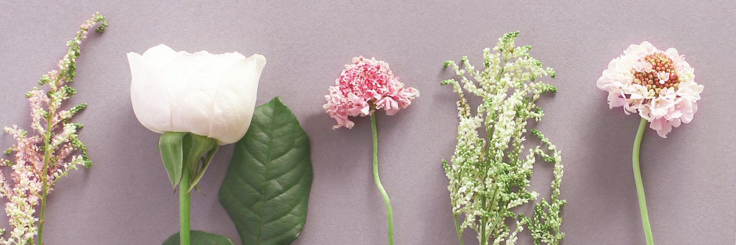 Mio 🌙 Airdrops & Perps banner