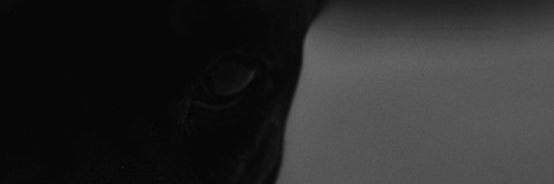 wejazy's profile banner image