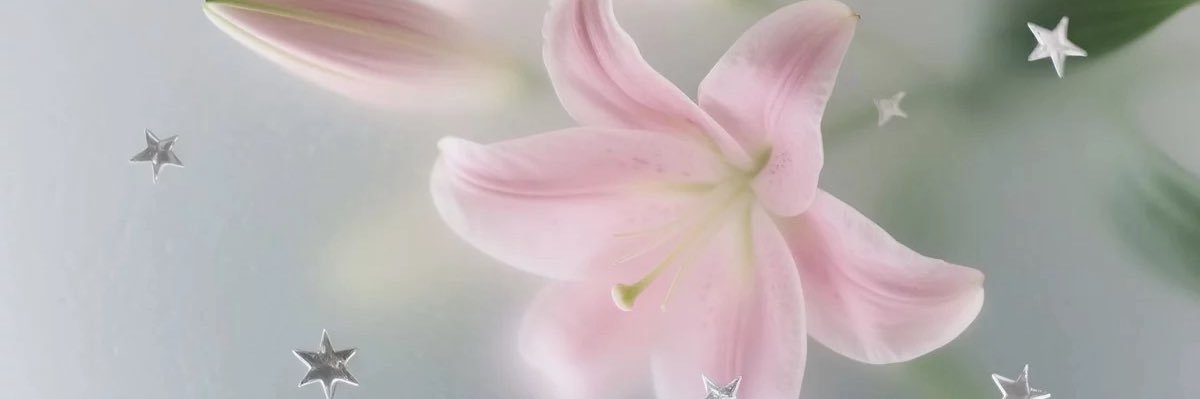 htuide's profile banner image