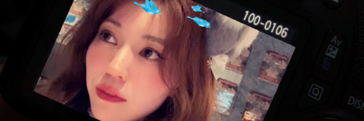 arayadianaaa's profile banner image