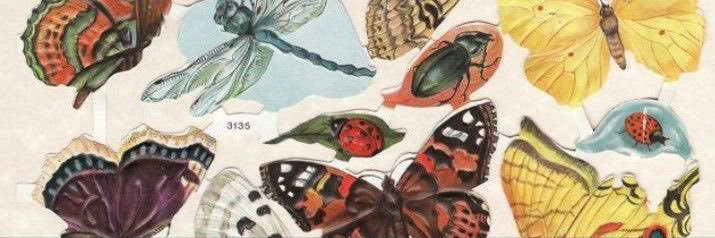 🌟 nara / lizbeth banner