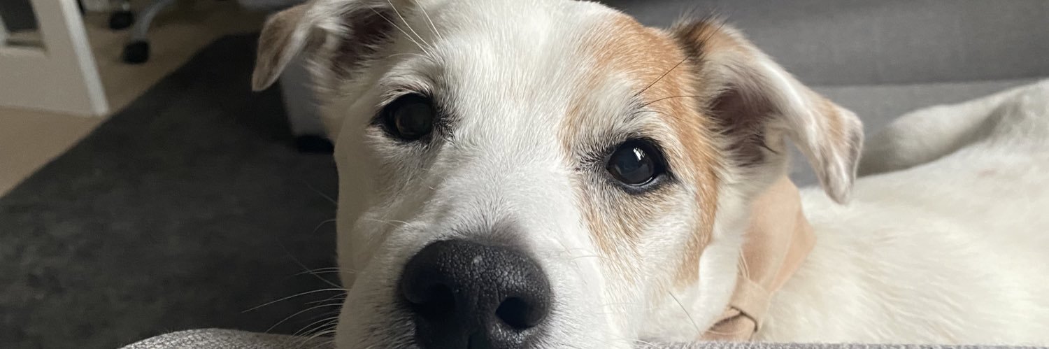 LonnieBoo's profile banner image