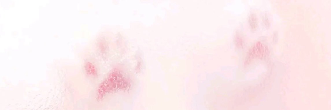 Linintt's profile banner image