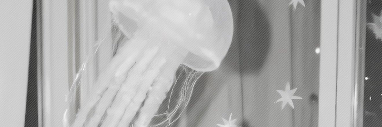 Xenomorph_0's profile banner image