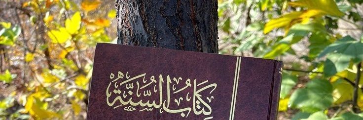أبو الفرج banner