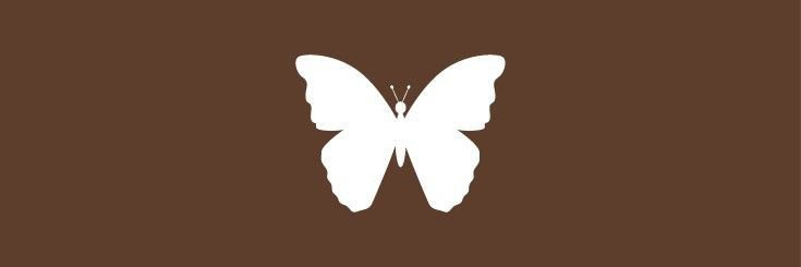 selooo_1's profile banner image