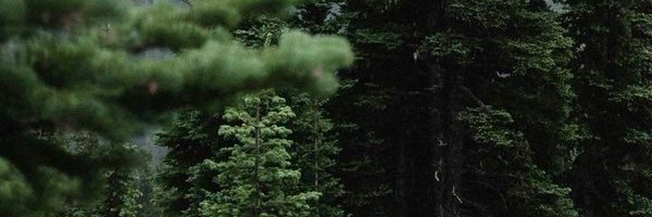 oceonkim Profile Banner