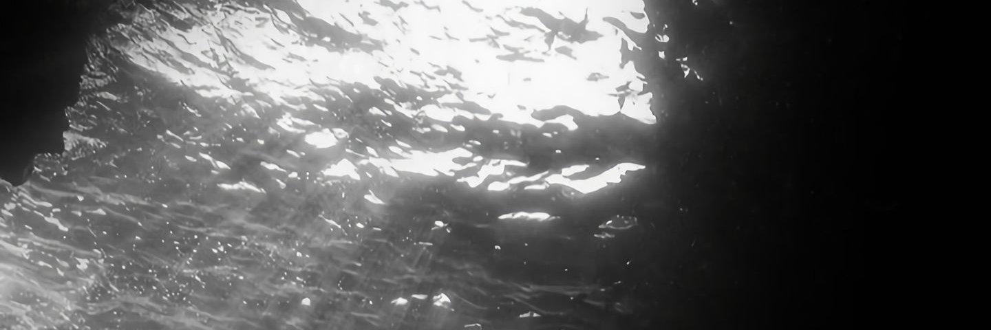 lcheimst36228's profile banner image