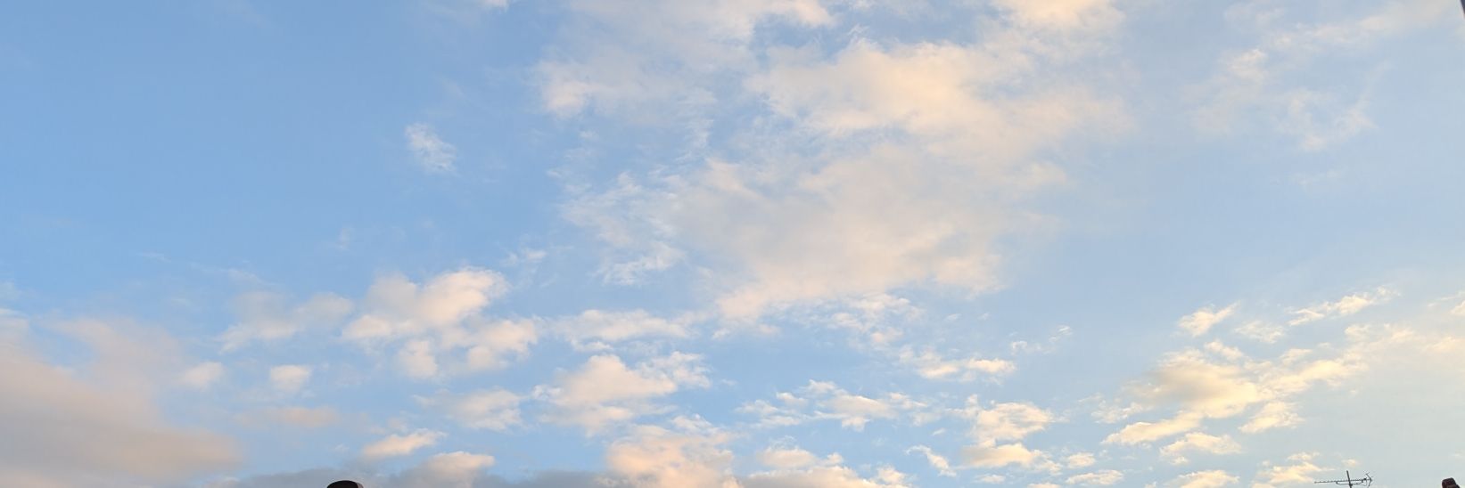 紫-𝐯𝐢𝐨𝐥𝐚☕ banner
