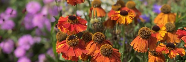 Joon123 Profile Banner