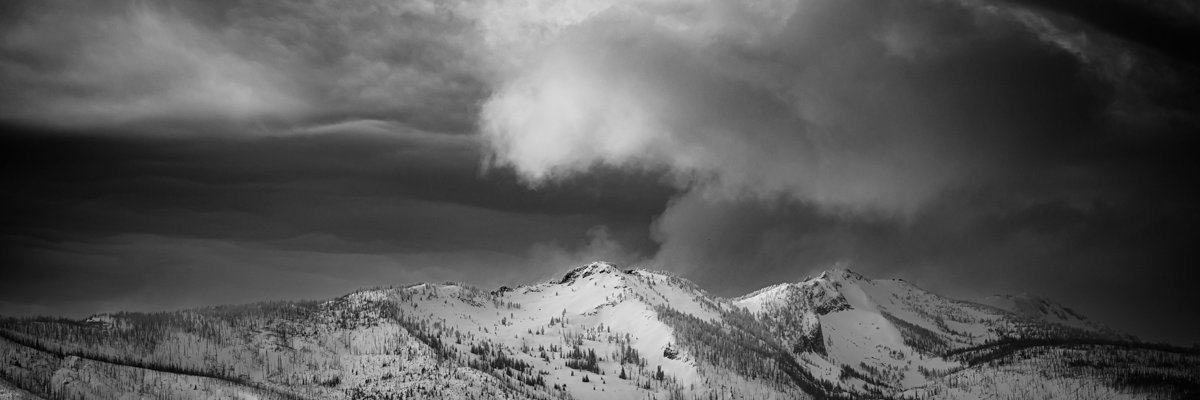MoosePeterson's profile banner image