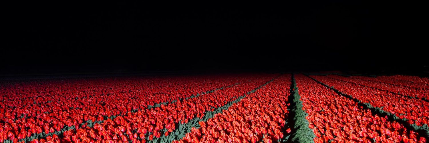 V (@Vrollia) / Posts / X