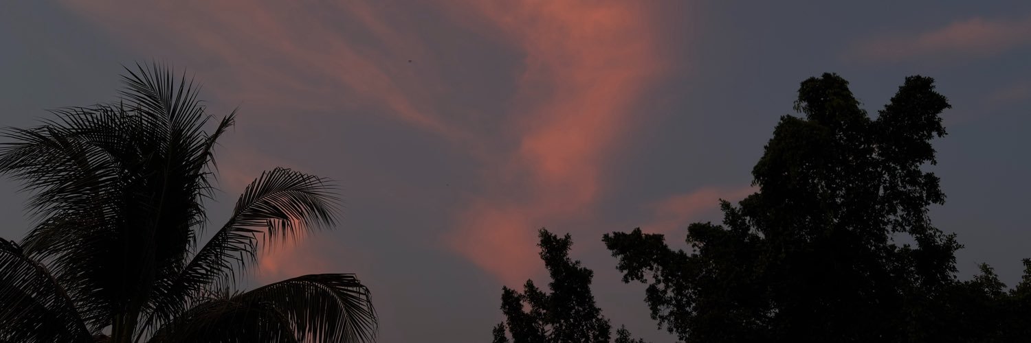 r2dsl7's profile banner image