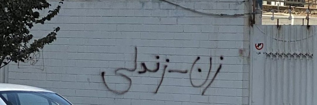 RIBV banner