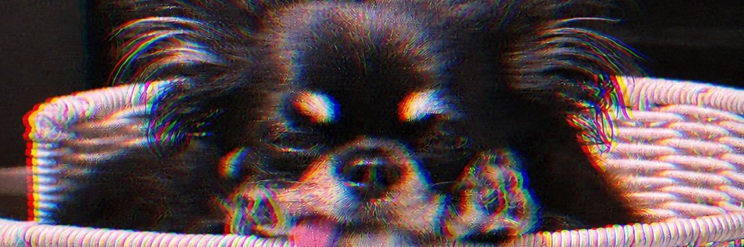 yotzinviner's profile banner image