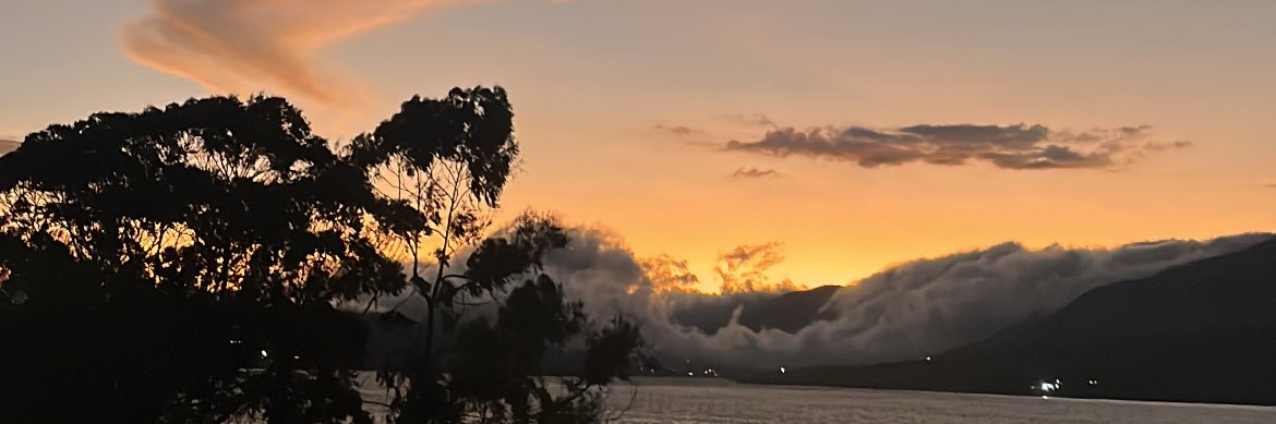 Juan Diego Abella banner