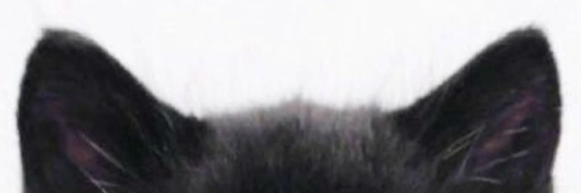 Caro4axy's profile banner image
