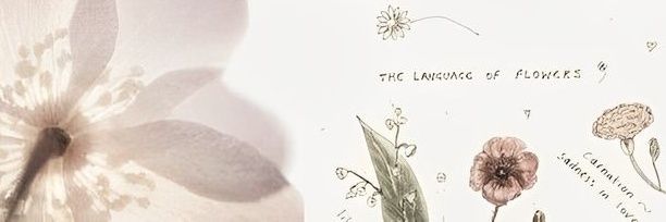 mika é caloura UEPA 2026 banner