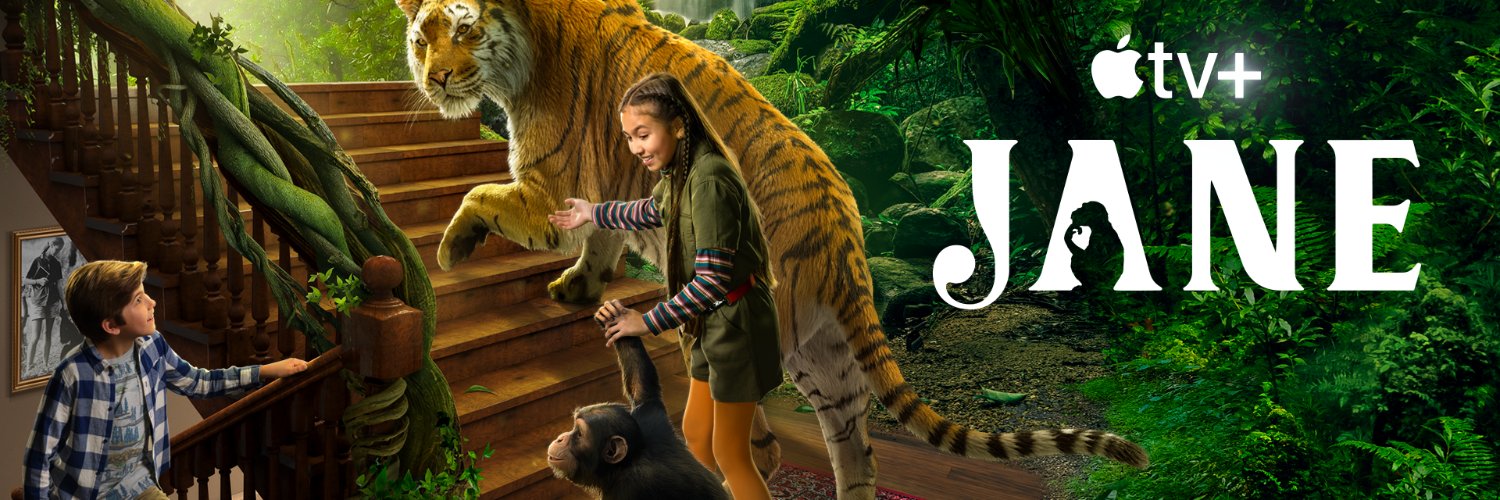 Sinking Ship Ent banner