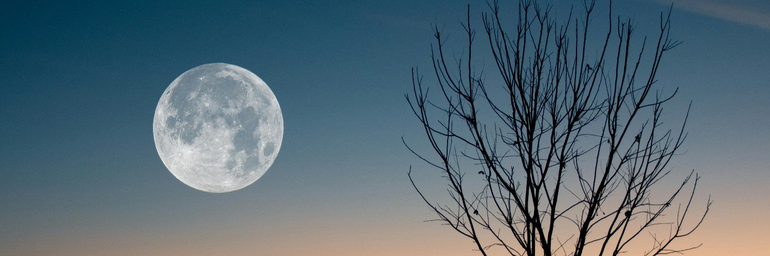 Tiêu Dao | Moon | ICF Coach banner
