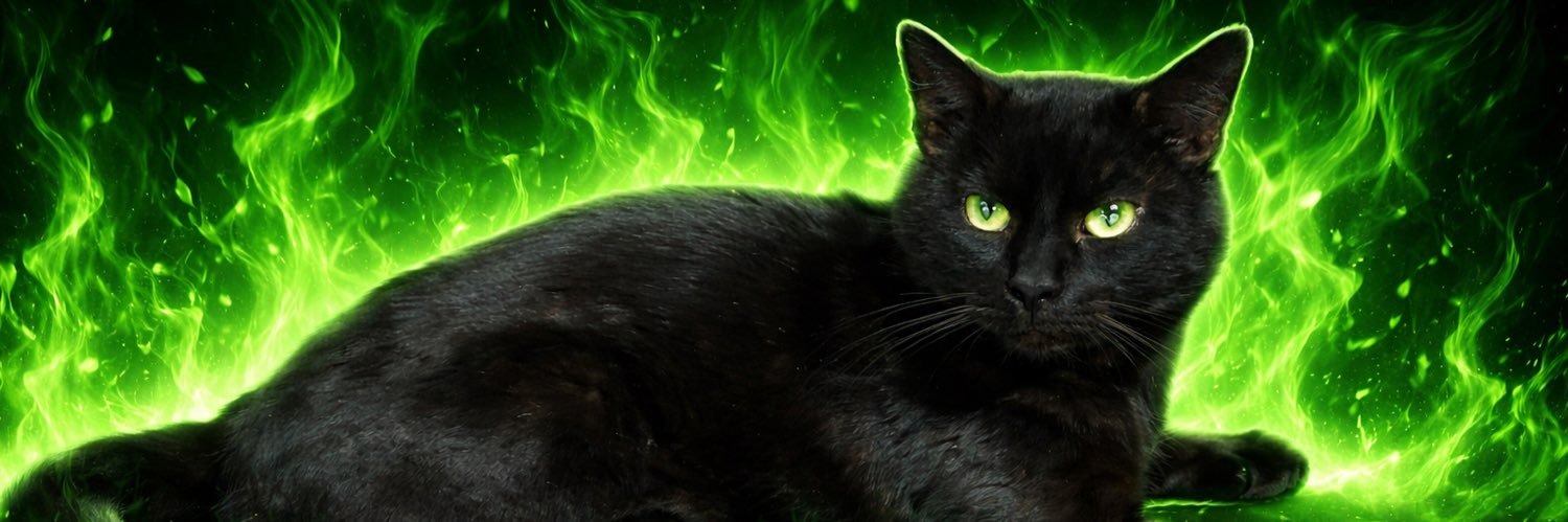 CatTraiter banner