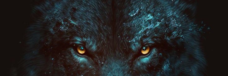 Abdznr's profile banner image