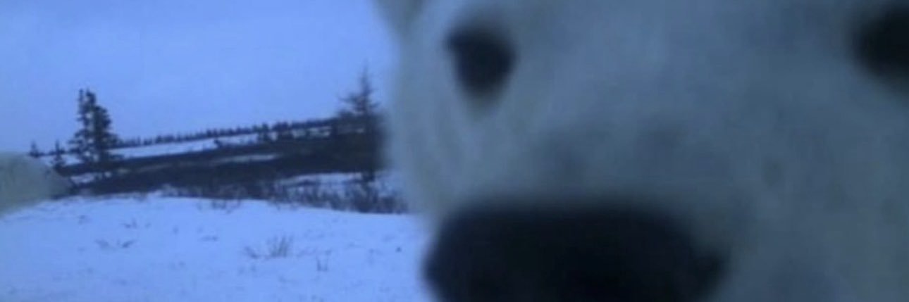 hAMburgerYiyenküçükBit banner