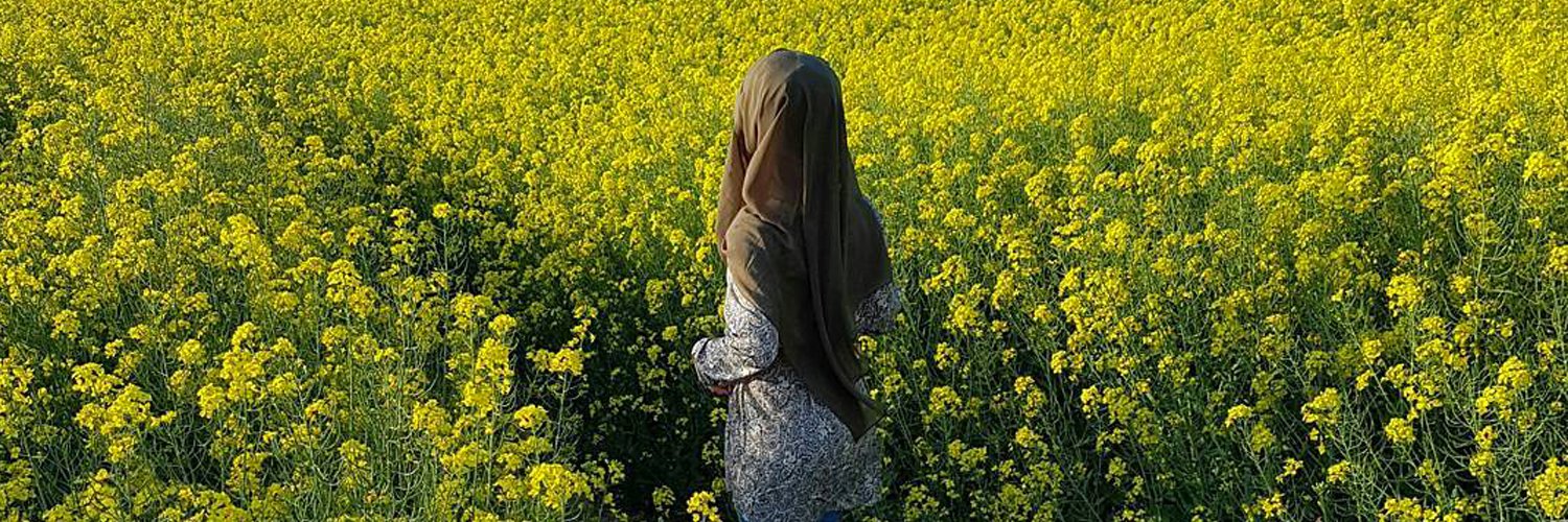 Çilekli Kurabiye banner