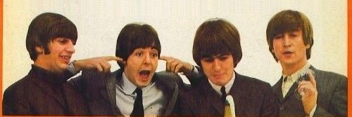 mongethewalrus's profile banner image