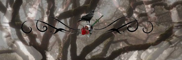 HatedWillow's profile banner image